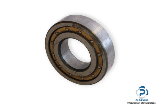 20206M-barrel-roller-bearing