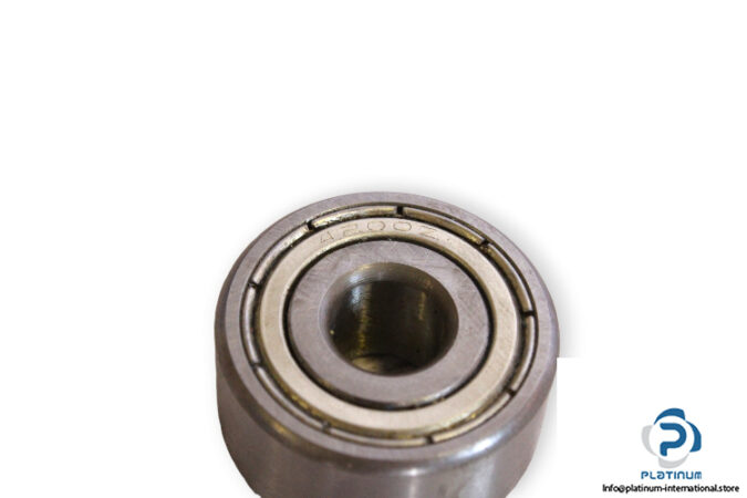 4200-2Z-double-row-deep-groove-ball-bearing-1