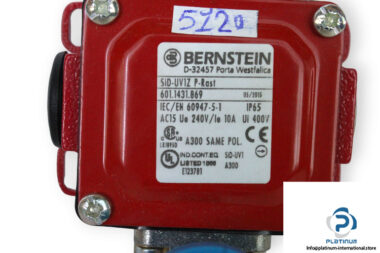 Bernstein-SID-UV1Z-P-RAST-rope-pull-switch-(new)-1