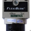 Numatics-P22BG04-air-filter-regulator-(used)-2