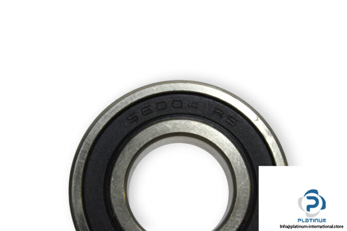 S6004-2RS-deep-groove-ball-bearing-(new)-1