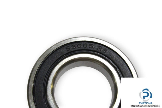 S6005-2RS-deep-groove-ball-bearing-(new)-1