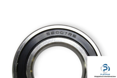 S6007-2RS-deep-groove-ball-bearing-(new)-1