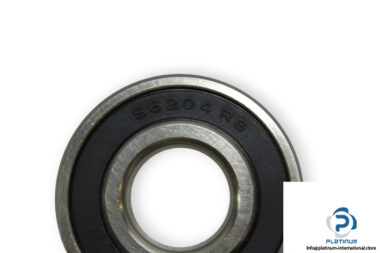 S6204-2RS-deep-groove-ball-bearing-(new)-1