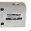 Sommer-DSV1_8-pressure-safety-valve-(new)-1