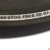 asbestos-free-20-91-6-rotor-komplett-2