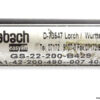 bansbach-a1a1-42-200-490-007-gas-spring-actuator-1