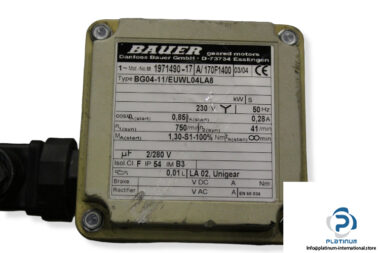 bauer-bg04-11_euwl04la8-geared-motor-1