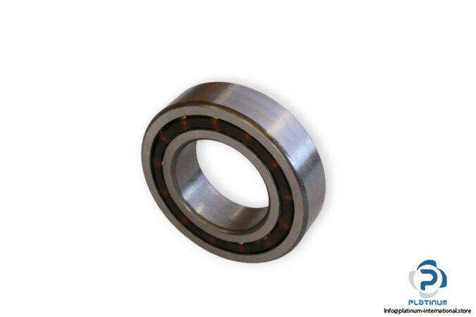 bearings-image-006