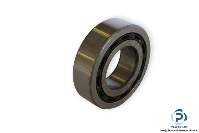 bearings-image-006