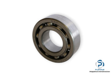 bearings-image-006