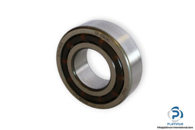 bearings-image-006