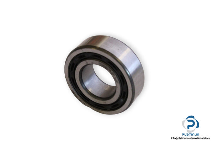 bearings-image-006