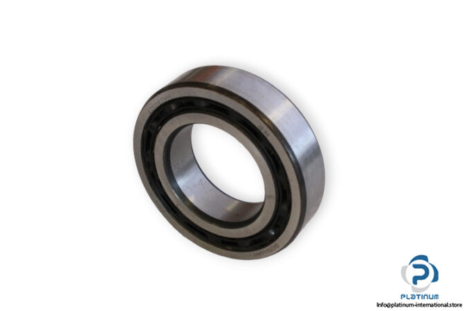 bearings-image-006