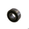 bearings-image-006