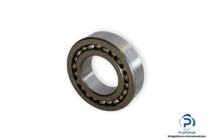 bearings-image-006