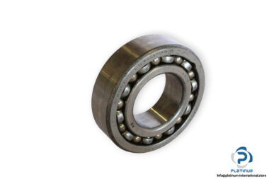 bearings-image-006