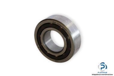 bearings-image-006