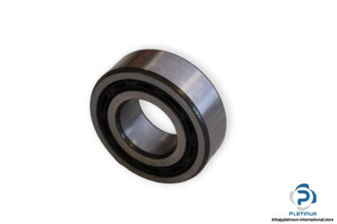 bearings-image-006