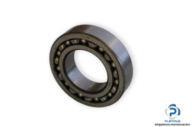 bearings-image-006