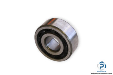 bearings-image-006