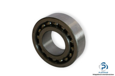 bearings-image-006