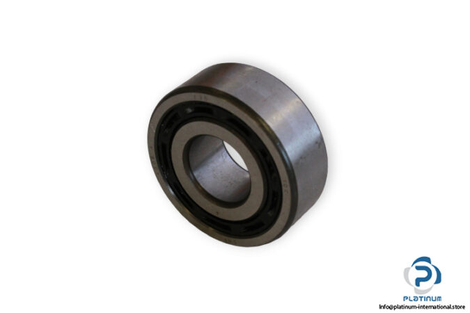 bearings-image-006