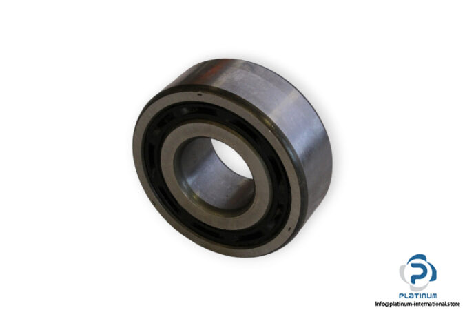 bearings-image-006