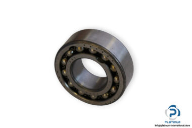 bearings-image-006