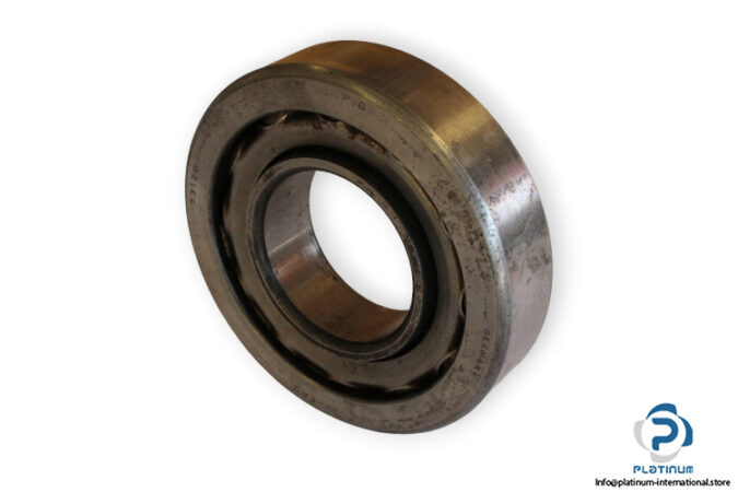 bearings-image-009