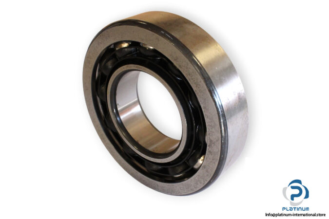 bearings-image-009