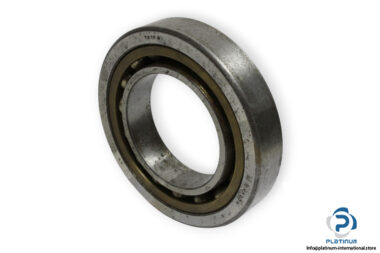 bearings-image-009