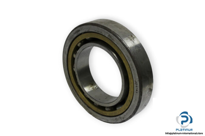 bearings-image-009