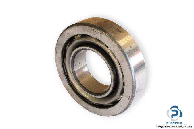 bearings-image-009