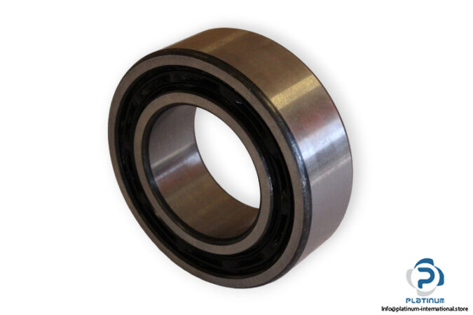 bearings-image-009