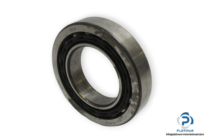 bearings-image-009