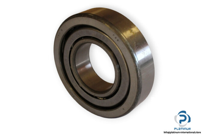 bearings-image-009