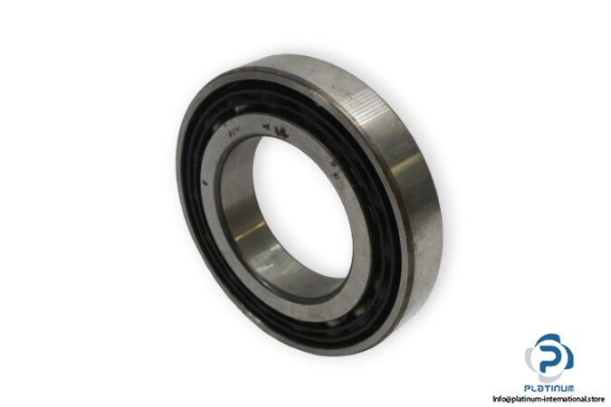 bearings-image-009