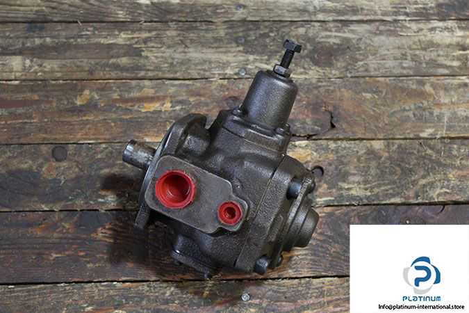 berarma-02-pvs1-20-f-l-r-m-variable-displacement-vane-pump-1