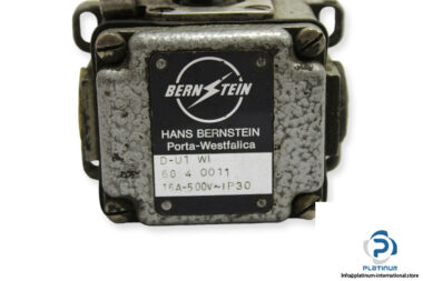 bern-tein-d-u1-w1-limit-switch-1