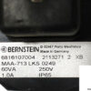 bernstein-maa-713-lks-0249-magnetic-float-switch-2