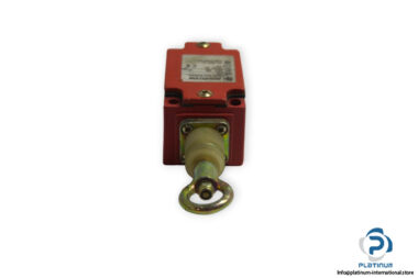 bernstein-sem-u1z-rope-pull-switch-1