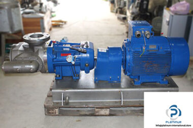 bornemann-sl-180-40-twin-screw-pump-1