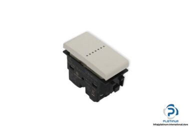 bticino-N4053N-two-way-switch-(New)