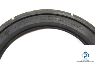 demag-079-787-84-conical-brake-disc-1