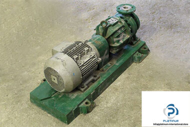 dickow-pumpen-nmlh-40_165-magnetic-driven-process-pump-4