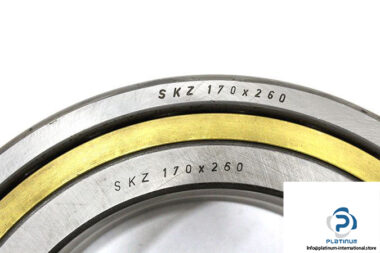 dkf-skz-in170-od260-angular-contact-ball-bearing-1