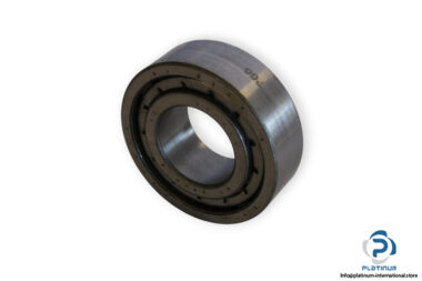 dkfddr-NJ-2206-E-cylindrical-roller-bearing-(new)