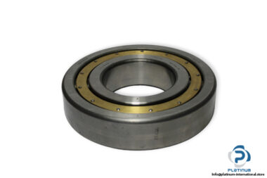 dkfddr-NJ-320-E-cylindrical-roller-bearing-(used)