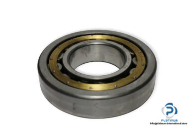dkfddr-NU-320-E-P6-cylindrical-roller-bearing-(used)